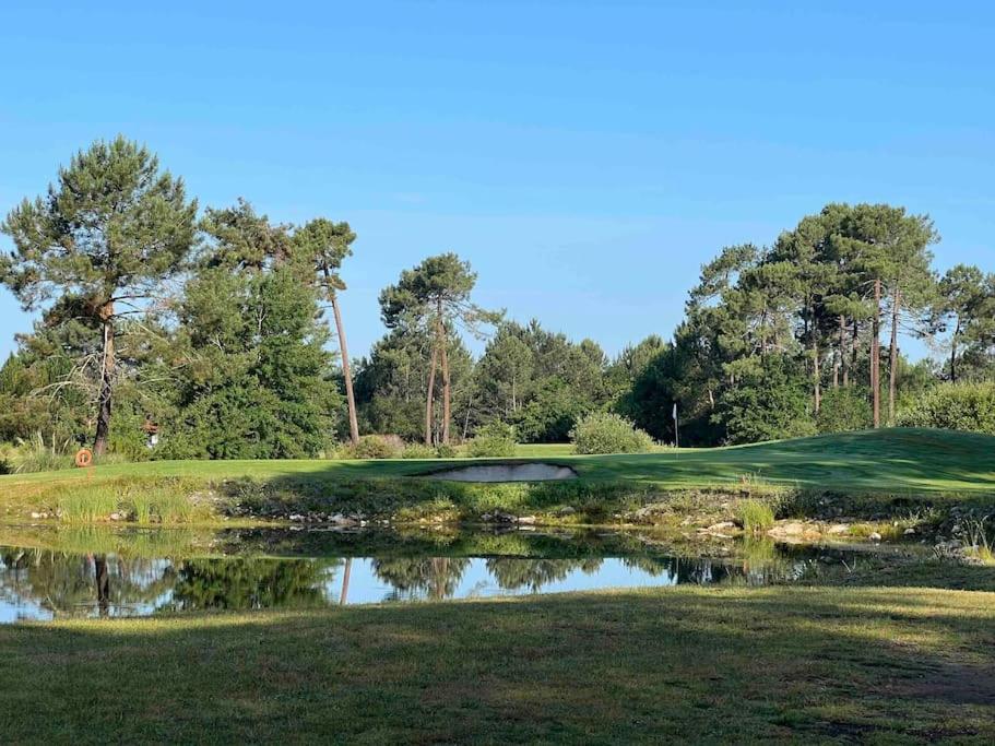 Agreable Maison Landaise Proche Du Lac Sanguinet Bagian luar foto