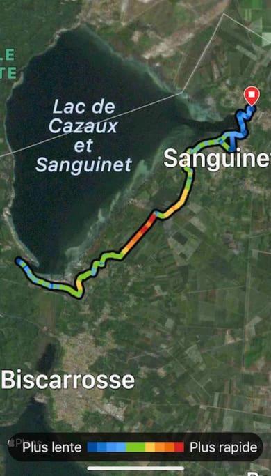 Agreable Maison Landaise Proche Du Lac Sanguinet Bagian luar foto
