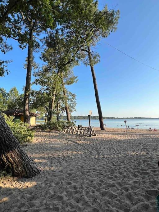 Agreable Maison Landaise Proche Du Lac Sanguinet Bagian luar foto